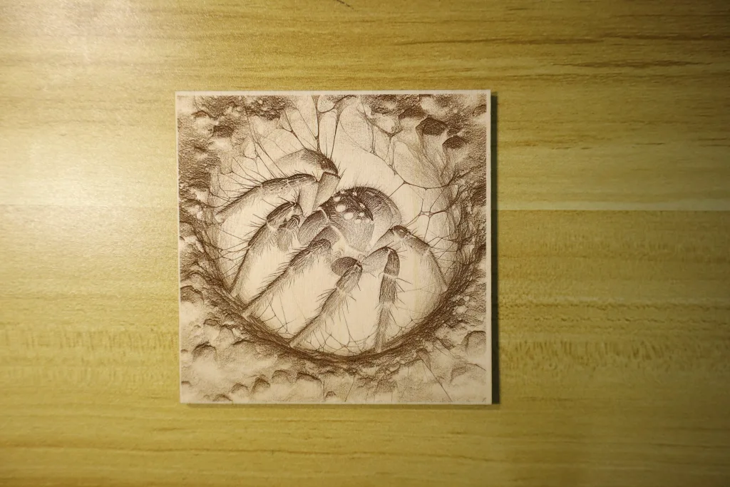Ultra-fine detail engraving on plywood