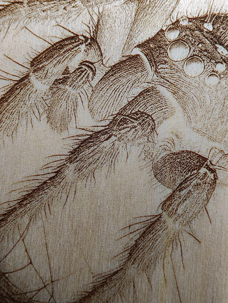 Ultra-fine detail engraving on plywood