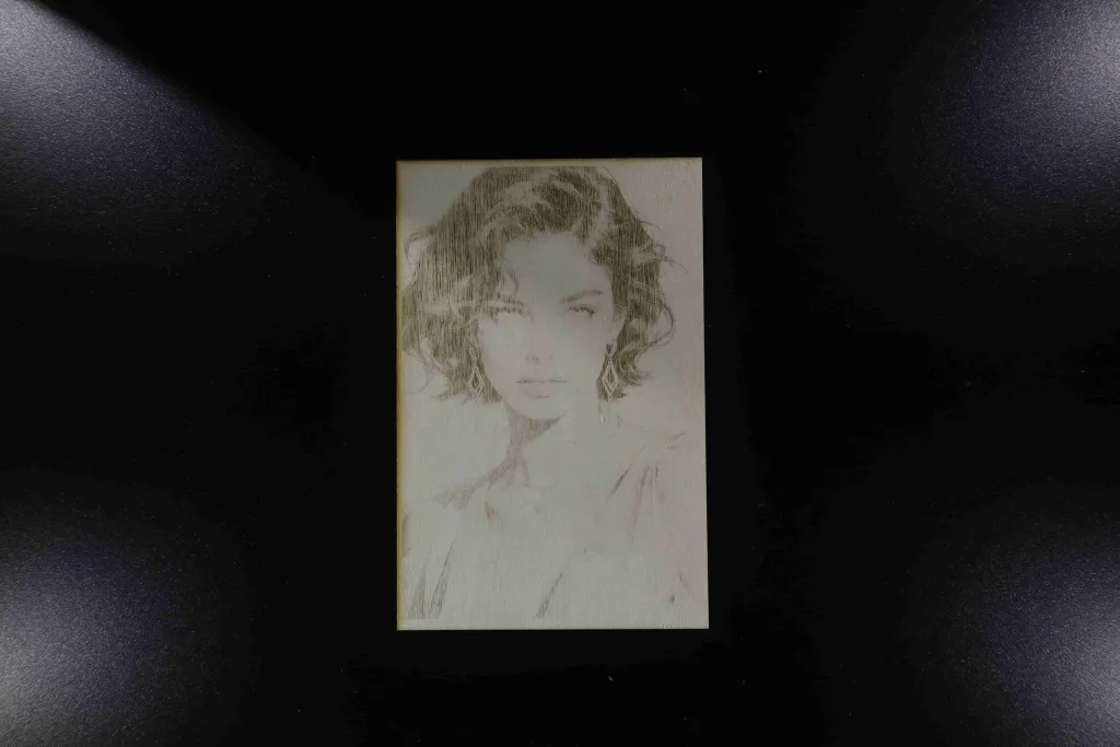 Image on engraved on plywood with 10W diode laser module